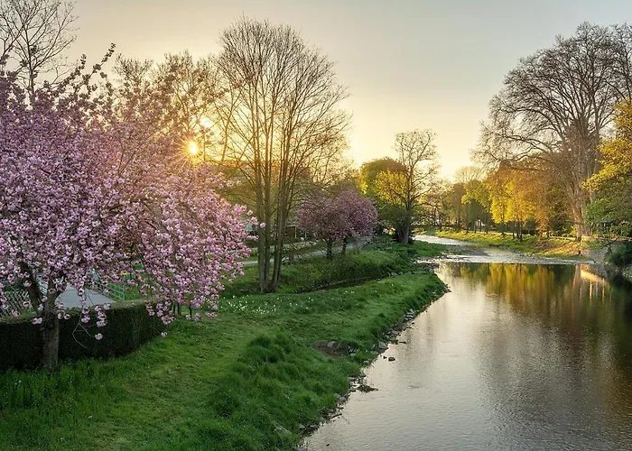 Отель Helma Бад-Нойенар-Арвайлер